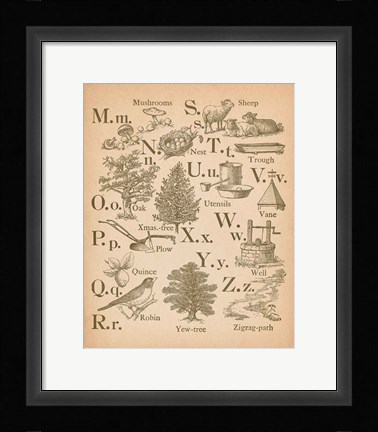 Framed Vintage Alphabet II Print
