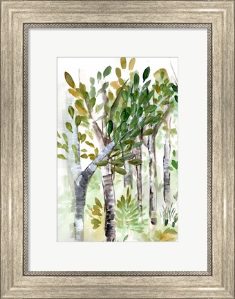 Framed Birch Forest I Print