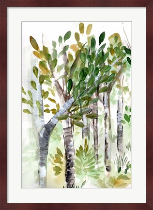 Framed Birch Forest I Print