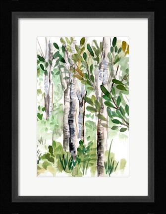 Framed Birch Forest II Print