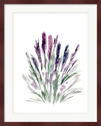 Framed Lavender Print