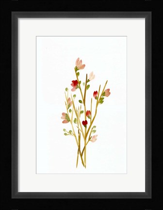 Framed Golden Pink Blossoms Print