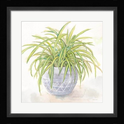 Framed Houseplant II-Spider Plant Print