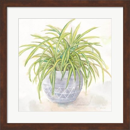 Framed Houseplant II-Spider Plant Print