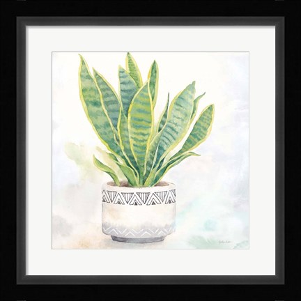 Framed Houseplant IV-Snake Plant Print