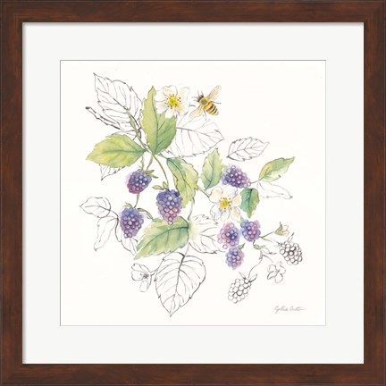 Framed Berries and Bees III Print