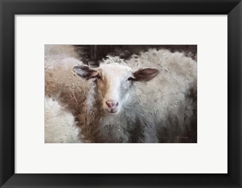 Framed Sheep&#39;s Flock Print