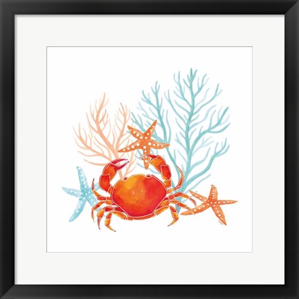 Framed Coral Aqua VIII Print