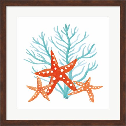 Framed Coral Aqua XIII Print