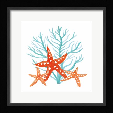 Framed Coral Aqua XIII Print