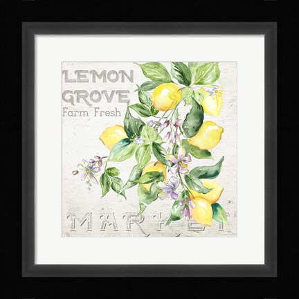 Framed Lemon Grove II Print
