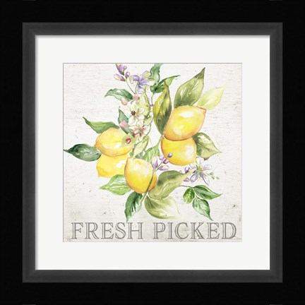 Framed Lemon Grove III Print