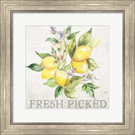 Framed Lemon Grove III Print