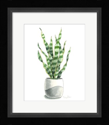 Framed Potted Exotics I Print