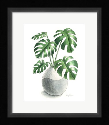 Framed Potted Exotics II Print