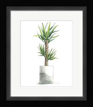 Framed Potted Exotics III Print
