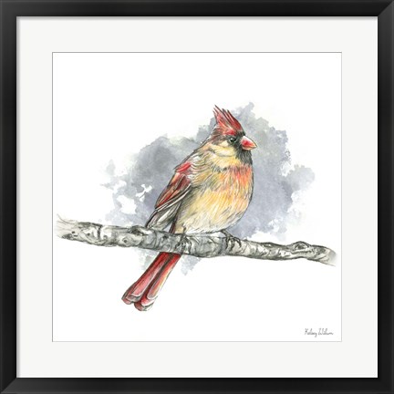 Framed Birds &amp; Branches II-Female Cardinal Print