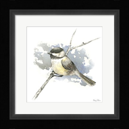 Framed Birds &amp; Branches III-Chickadee Print