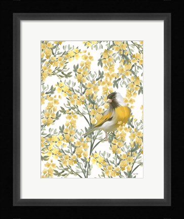 Framed Yellow Spring Finch Print