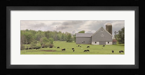 Framed Grazing Away Print