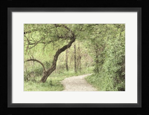 Framed Wildwood Lake Print