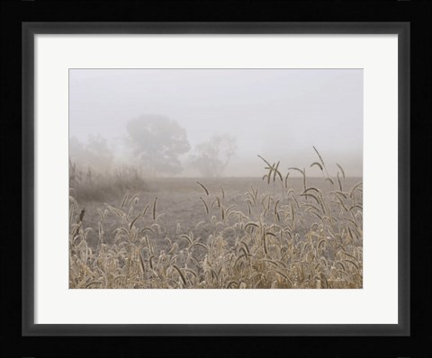 Framed Roadside Grass Print