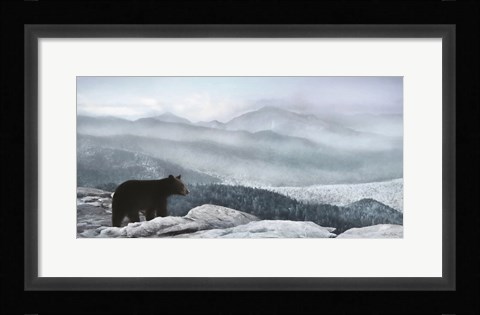 Framed Cascade Mountain Bear Print