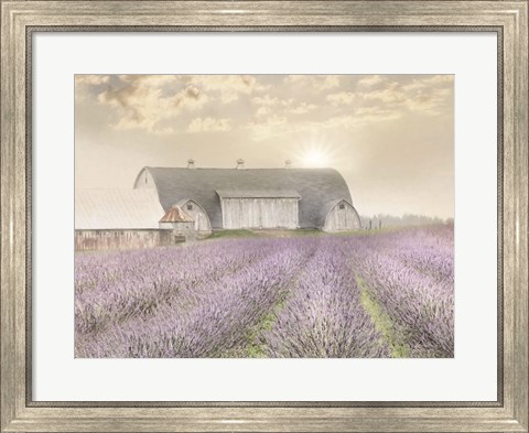 Framed Lavender Morning Print