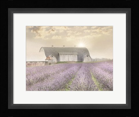 Framed Lavender Morning Print