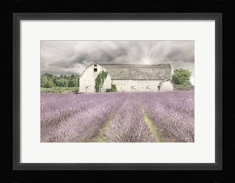 Framed Shades of Lavender and Gray Print