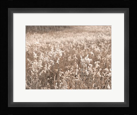 Framed Fall Field Print
