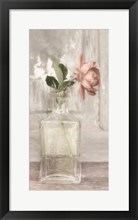Framed Cottage Peach Rose Print