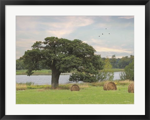 Framed Summer Hay Harvest Print