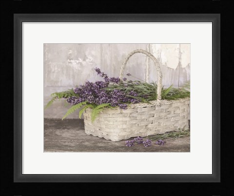 Framed My Lavender Print