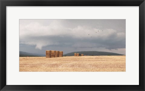 Framed Stormy Day Harvest I Print