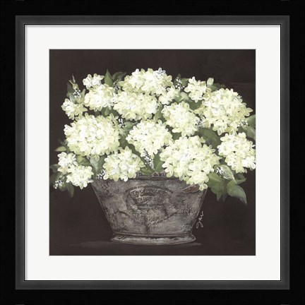 Framed Snowball Hydrangea Pail Print