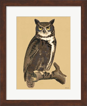 Framed Great Owl Print