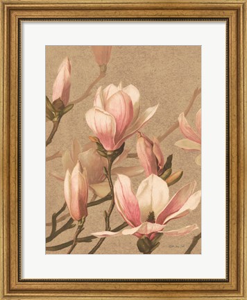 Framed Antique Botanical Collection 4 Print