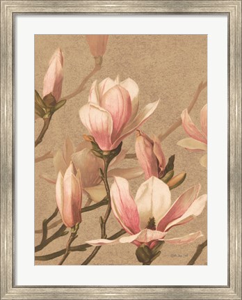 Framed Antique Botanical Collection 4 Print