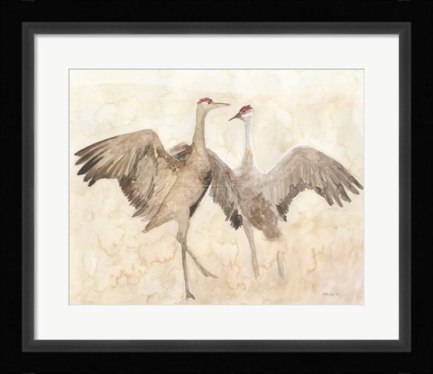 Framed Sandhill Cranes 1 Print