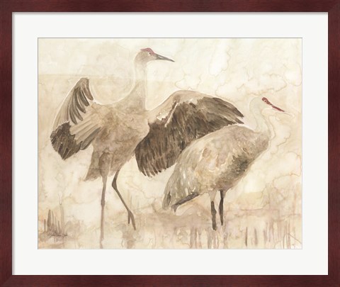 Framed Sandhill Cranes 2 Print