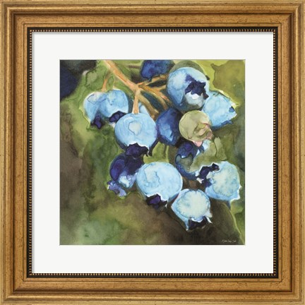 Framed Blueberries 1 Print