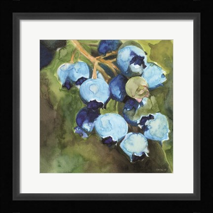 Framed Blueberries 1 Print
