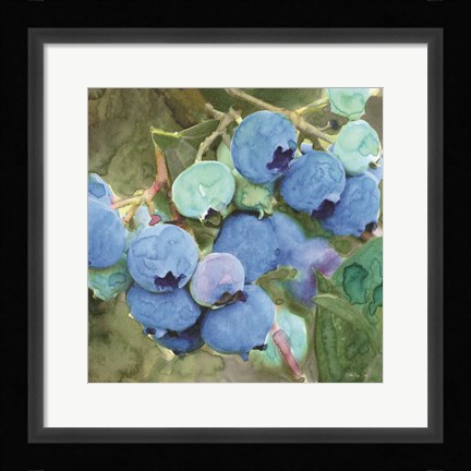 Framed Blueberries 2 Print
