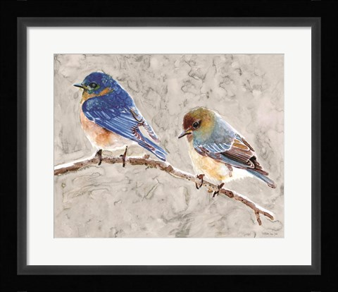 Framed Eastern Bluebirds 1 Print