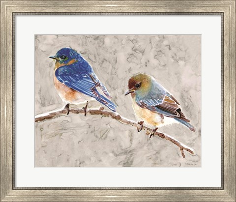 Framed Eastern Bluebirds 1 Print
