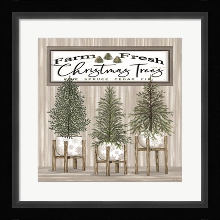 Framed Potted Christmas Trees Print