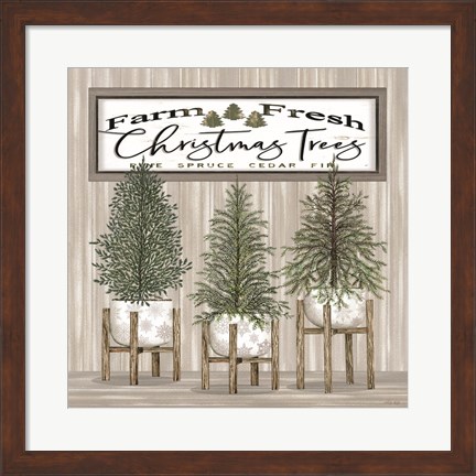 Framed Potted Christmas Trees Print