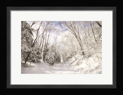 Framed Winter Storm Print