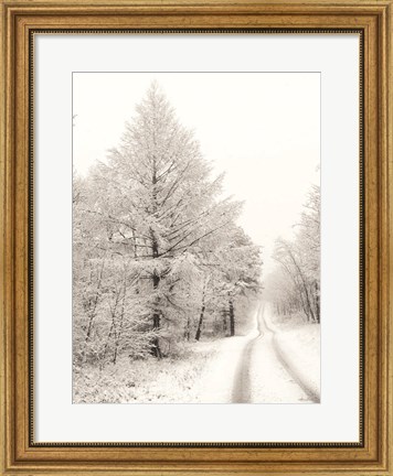 Framed Berry Mountain Road Print